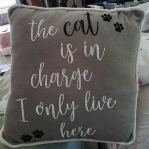 Decorative throw pillow